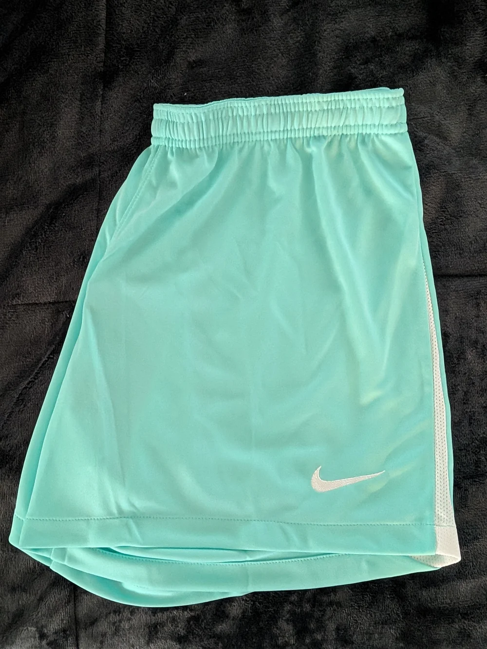 Nike Light Aqua Running Shorts